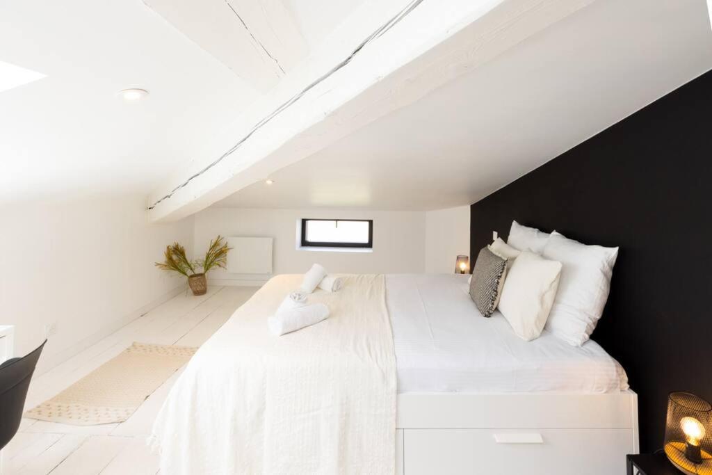 Le Loft Cache Apartment Carcassonne Ngoại thất bức ảnh